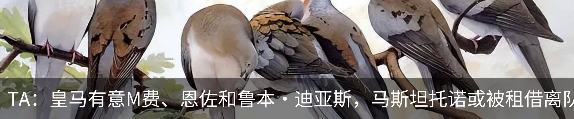 资讯动态
